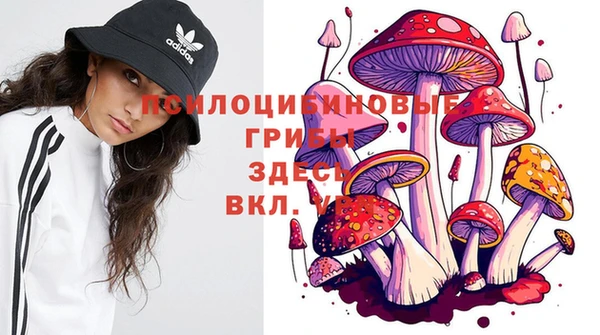 Альфа ПВП Струнино