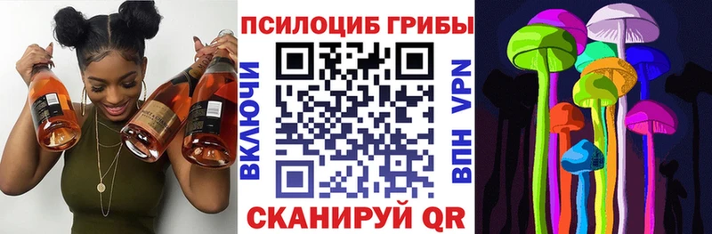 Купить где  Фрязино  Псилоцибиновые грибы Psilocybe 